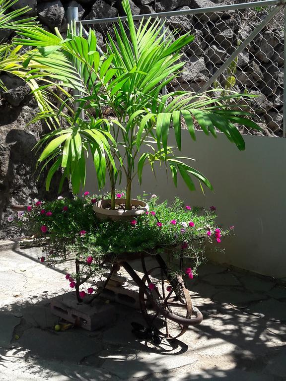 Casita Escondida- El Salvador Villa Ла Либертад Екстериор снимка
